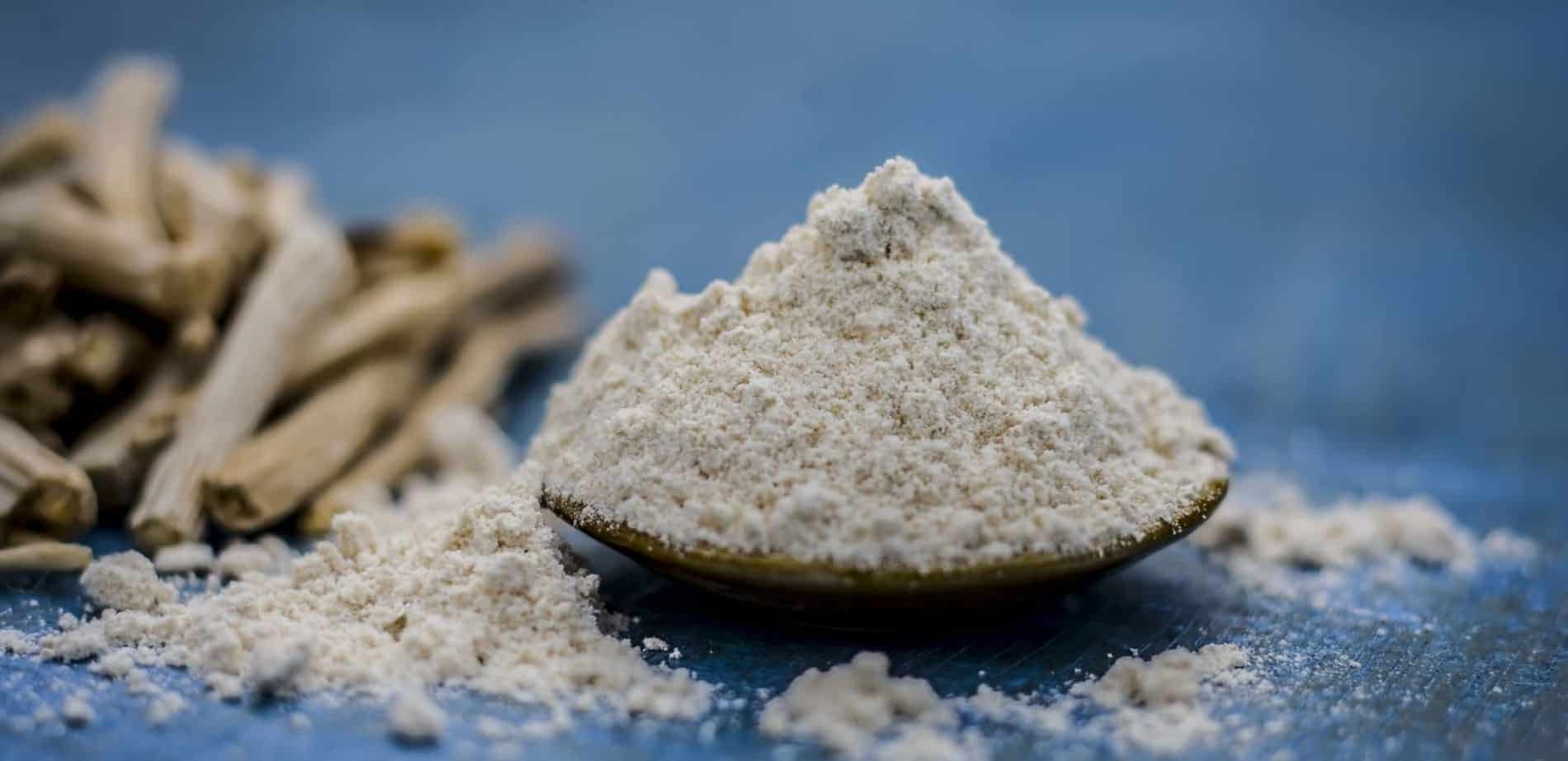 Shatavari – Wirkung, Anwendung & Dosierung des Frauen-SuperFoods.